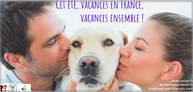 Partirez-vous en vacances en France avec votre animal ?