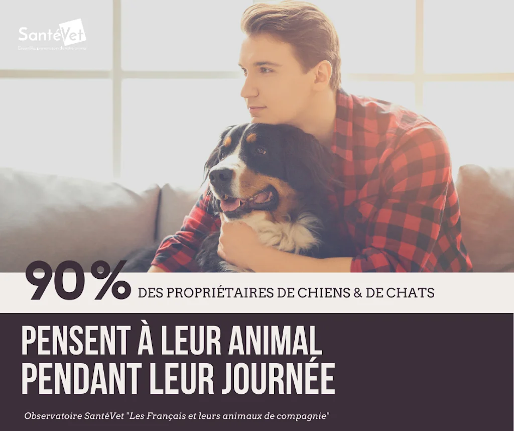 enquete_ipsos_santevet_2020_francais_chiens_chats_1F