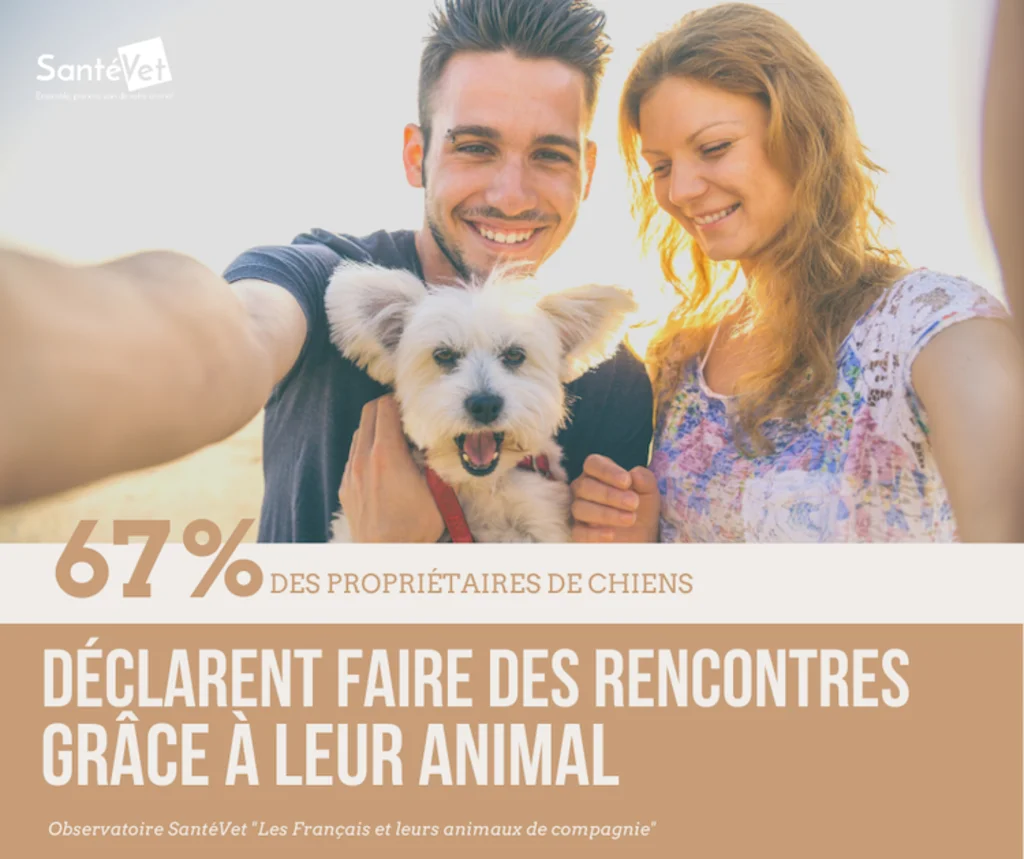 enquete_ipsos_santevet_2020_francais_chiens_chats_F