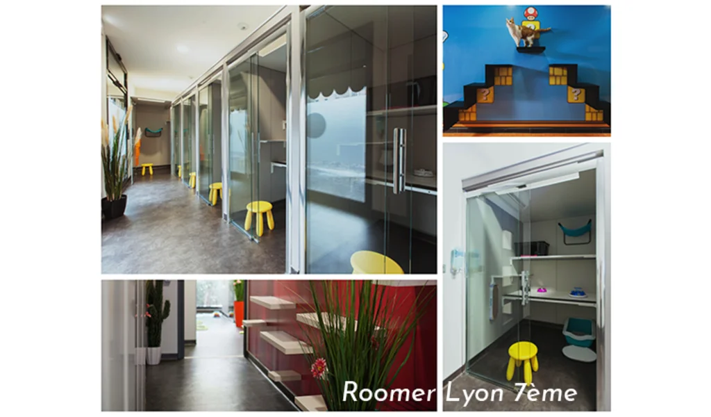 Hotel pour chat Roomer Lyon 7