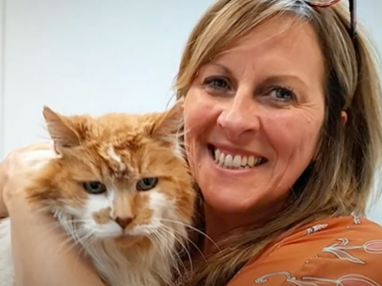 Jusqu’à quel âge vivent les chats ?