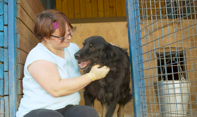 Combien donne la Fondation 30 Millions d’Amis aux refuges?