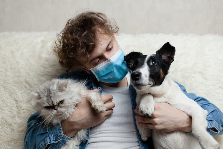 Homme-animal et Covid-19 : le point sur la transmission