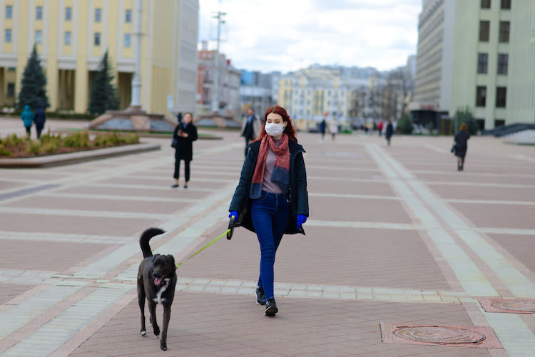 Covid-19: faire garder son chien ou chat en toute sécurité