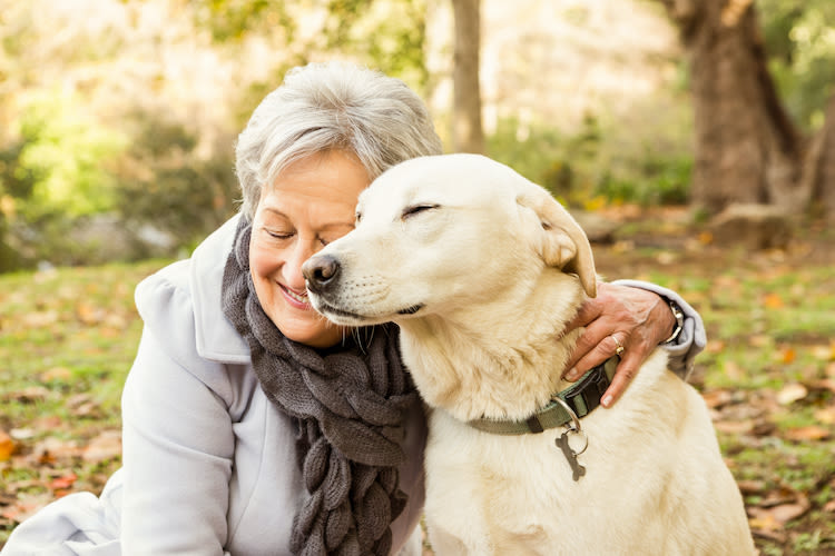 Quel âge en équivalent humain a vraiment mon chien ?