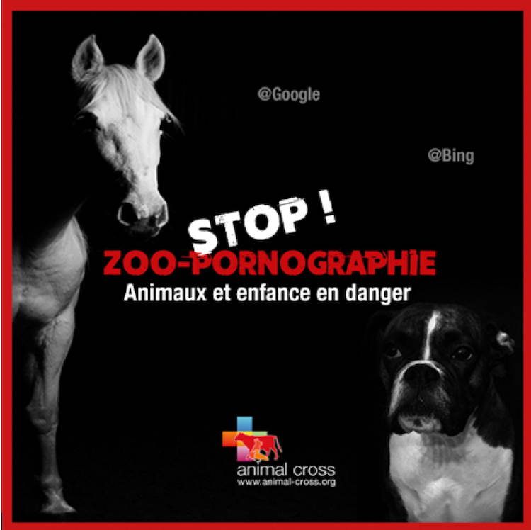 Zoophilie : les animaux sont-ils les nouveaux Sextoys ?