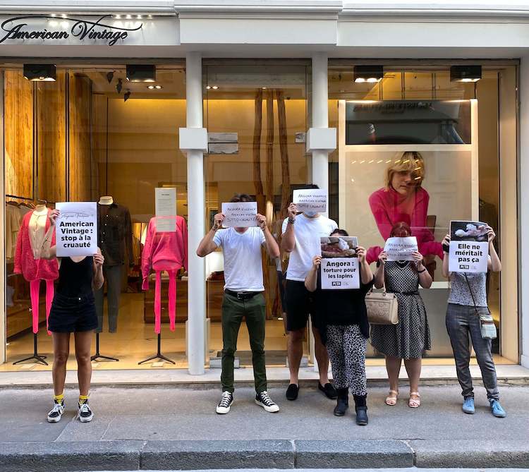 PETA dénonce la souffrance faite aux lapins angora