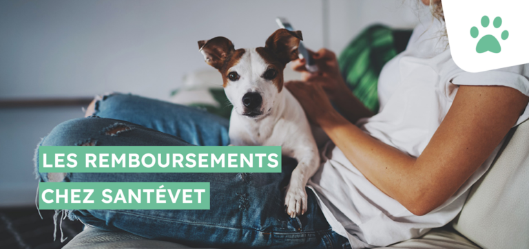 Se faire rembourser par Santévet, c&rsquo;est facile !