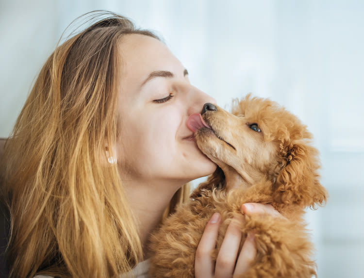 Quelle hygiène ont les Français avec leur chien ou chat ?