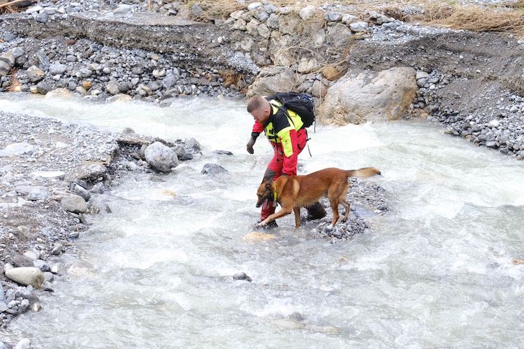 Tempête Alex en France : quel bilan pour les animaux ?