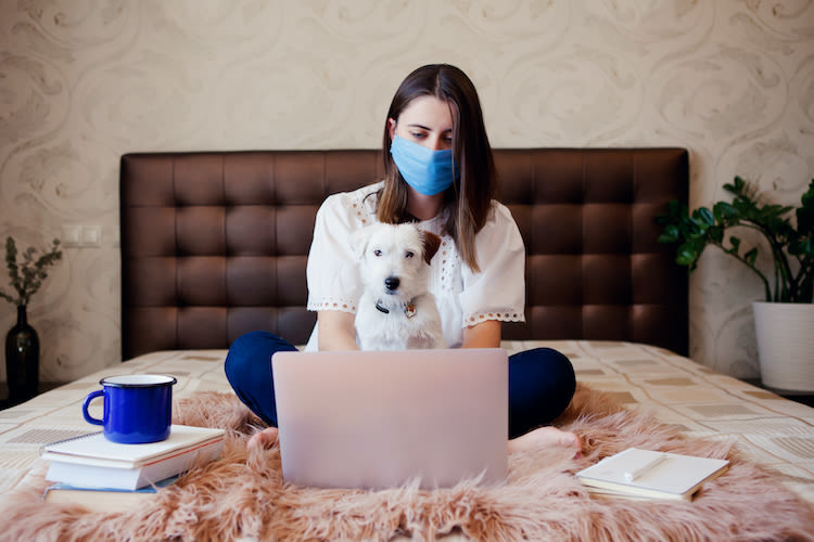 Reconfinement avec son animal: quelles mesures respecter ?