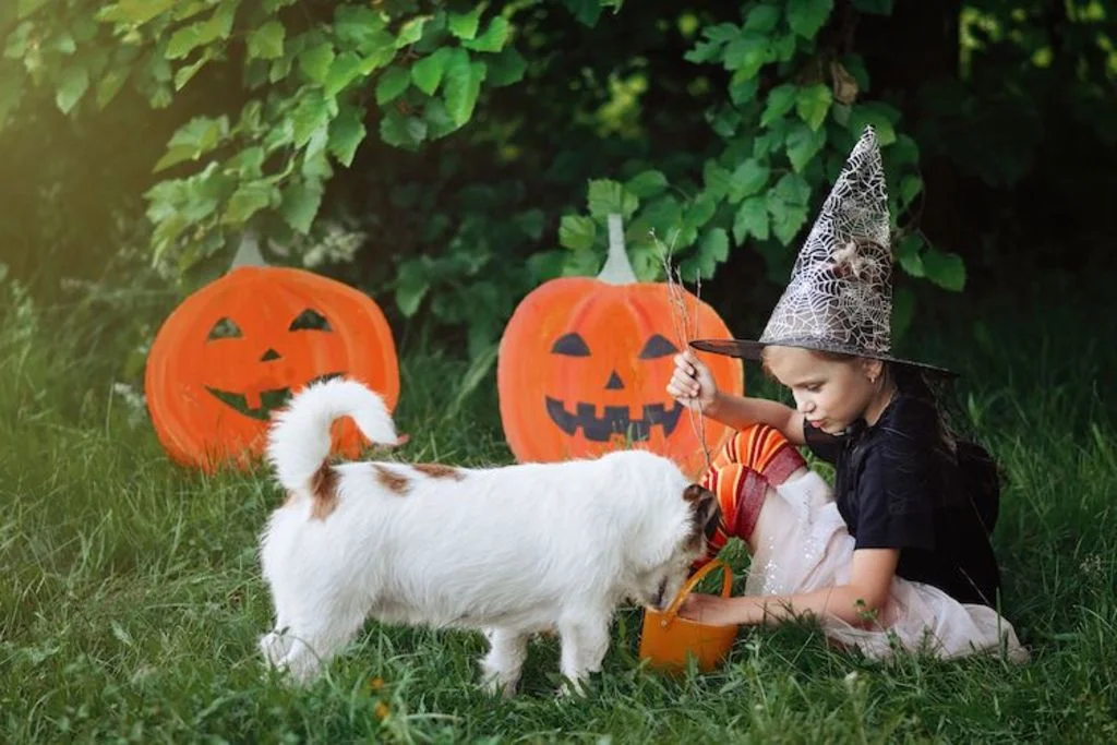 dangers_chien_halloween