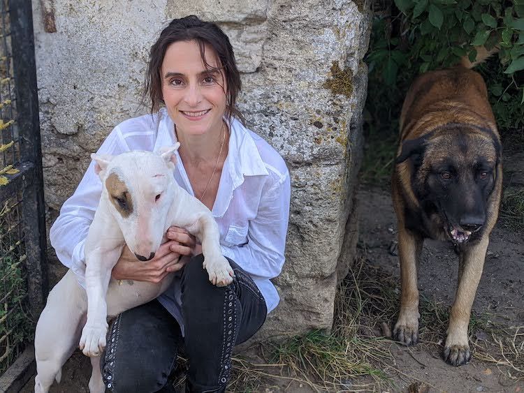 Livre :  » Ma bible des chiens  » par une vétérinaire