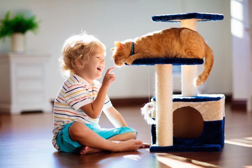 chat_et_enfant_arbre_a_chat
