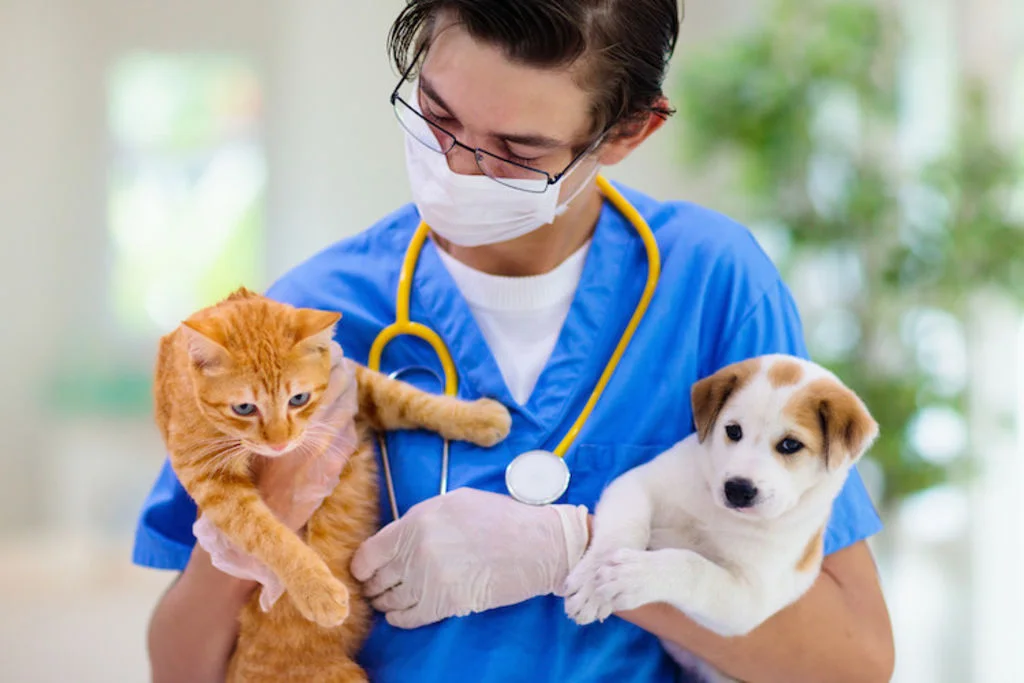 chien_chat_parasites