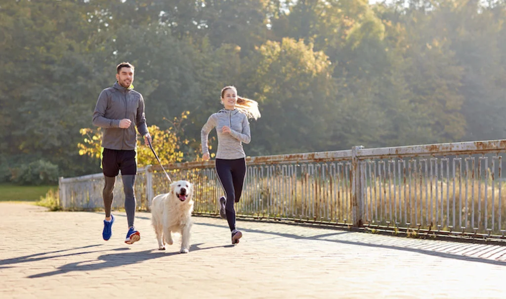 chien_sport_activites