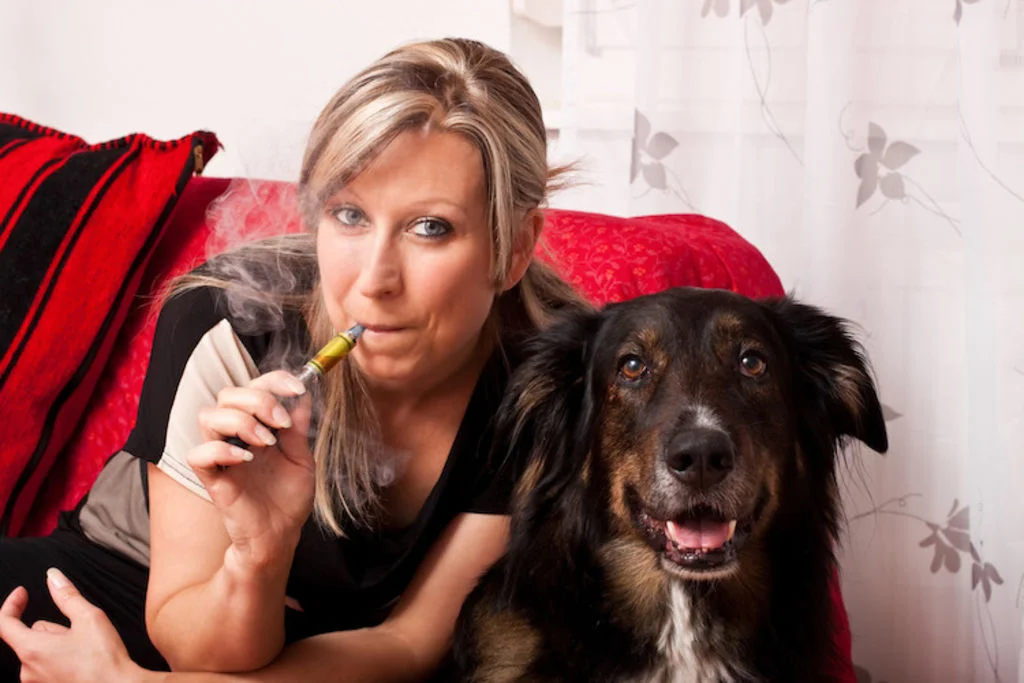 chien_tabac_danger
