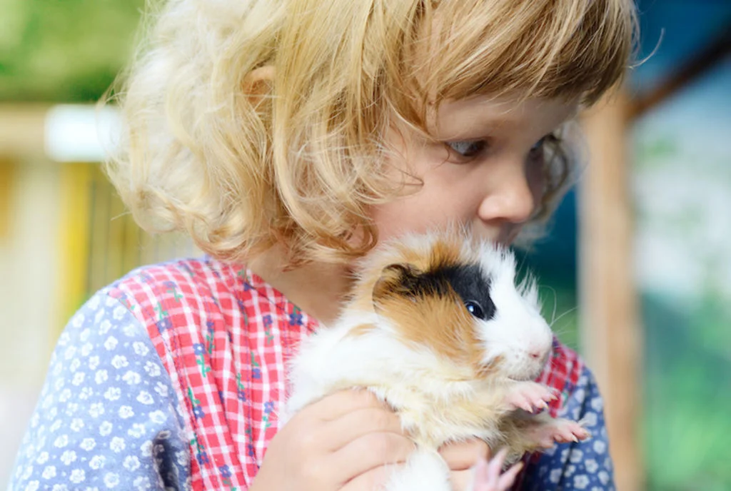 hamster-danger_transmission_virus_covid_19