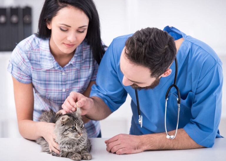 Pensez à inspecter les oreilles de votre chien ou chat
