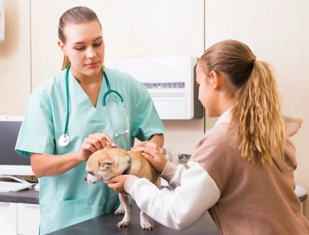 vaccination_chien