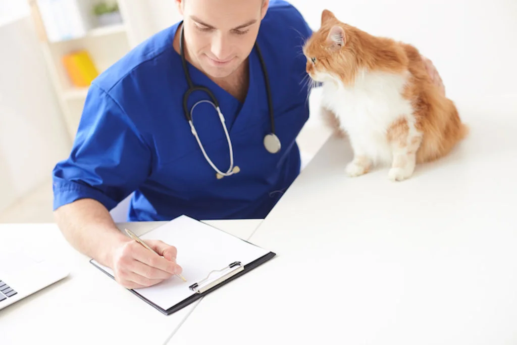vers_du_chat_ordonnance