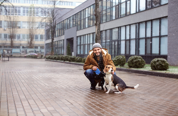 La ville de Montreuil (93) élue « Ville amie des Animaux »