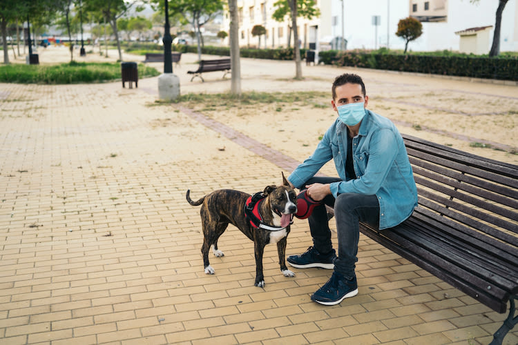 Couvre-feu : comment sortir son chien après 18h00 ?