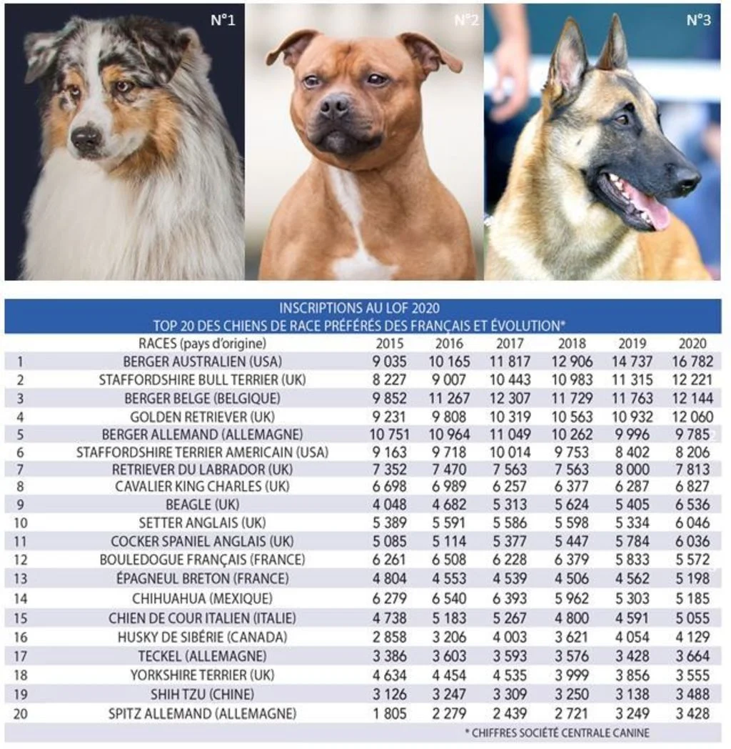 inscriptions_LOF_chiens_de_race_2020