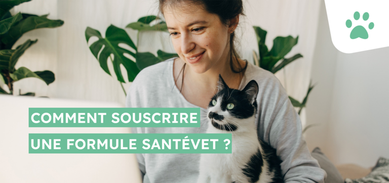Comment souscrire une formule Santévet ?