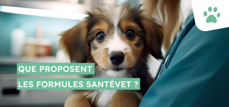 Que proposent les formules Santévet ?