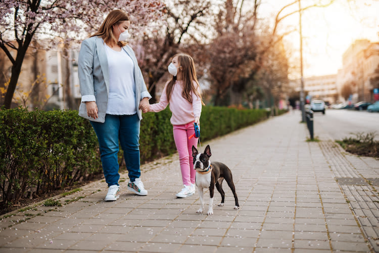 Confinements locaux : organiser les sorties de votre chien