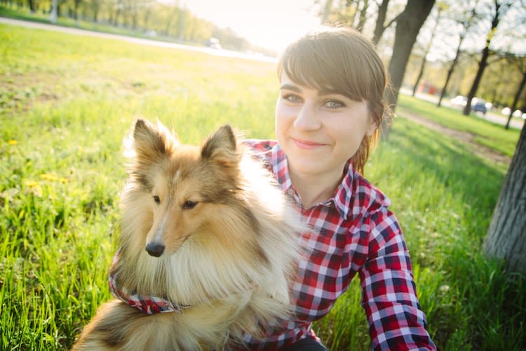 Comment égayer son quotidien avec le chien de son voisin ?