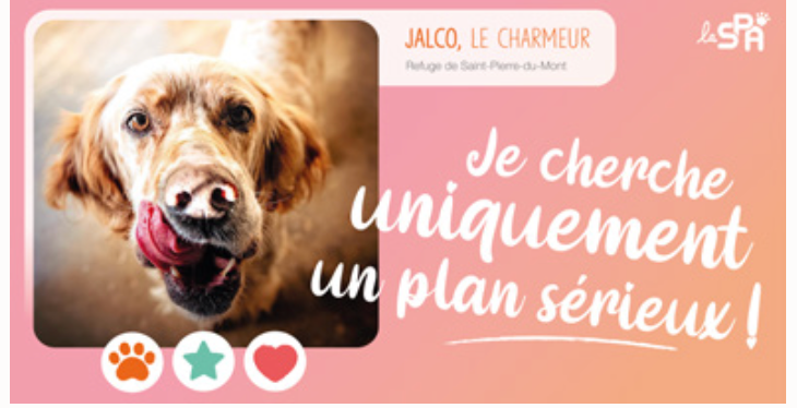 Rencontre : cherchez-vous un plan sérieux ?