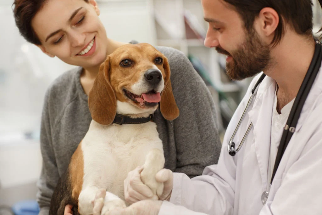 Chien chez le vétérinaire