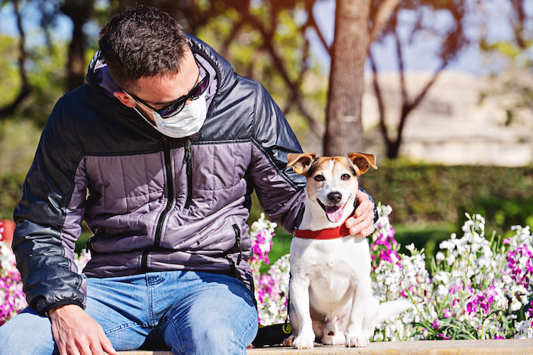 Confinement : 1 ou 10 km autorisés pour sortir son chien ?