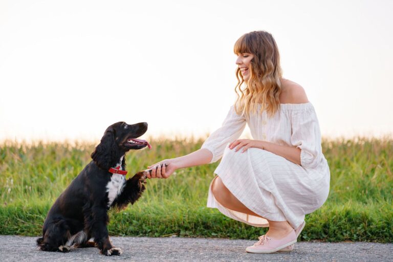 Apprendre des tours à son chien : 5 idées faciles