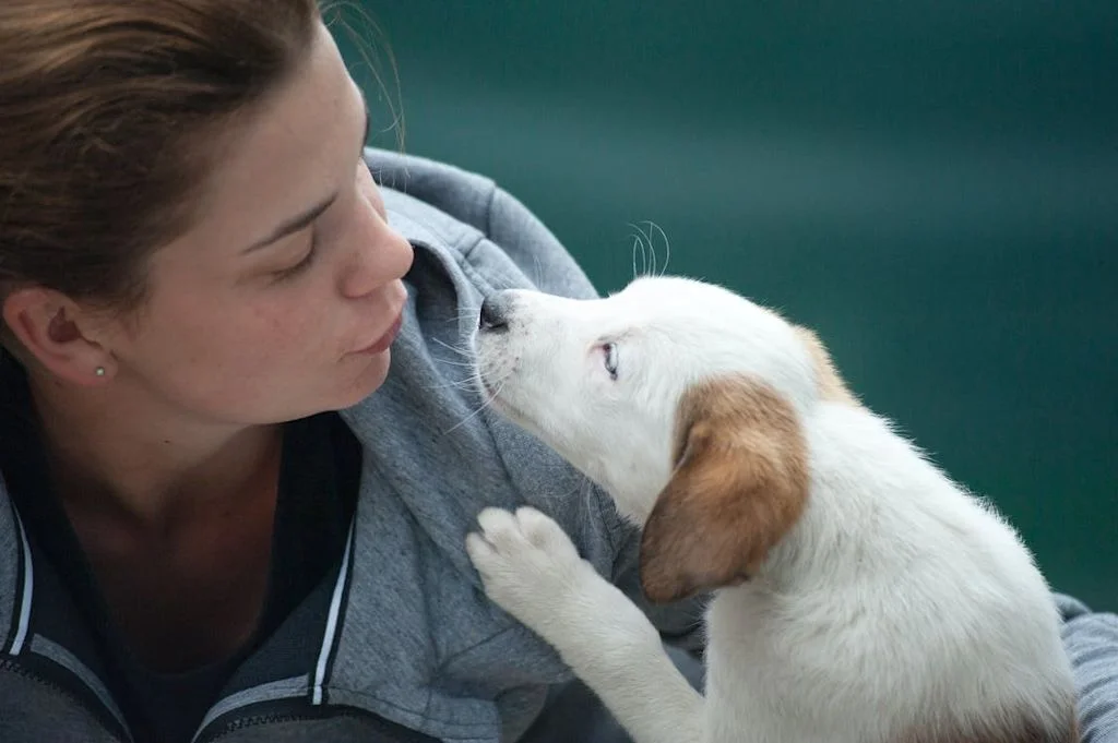femme bisou chien
