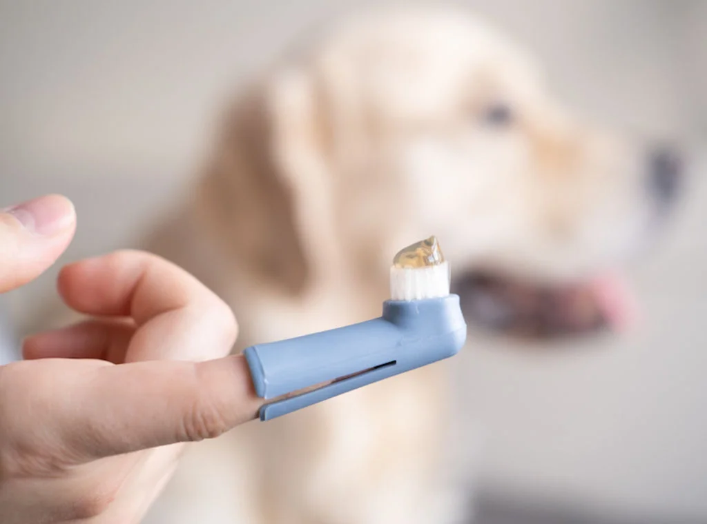 chien_brossage_des_dents