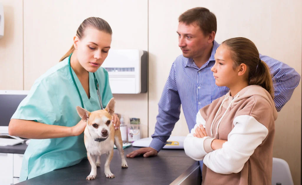 chiot_examen-veterainaire