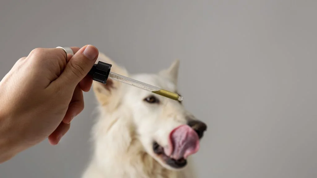 Chien huile essentielle