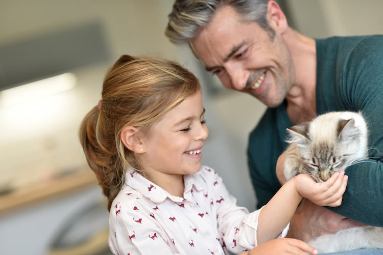Comment accueillir au mieux un chat ou un chaton ?