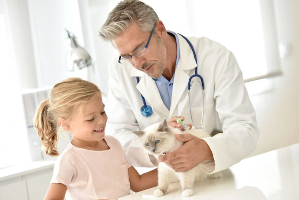 antiparasitaire_pour_chat