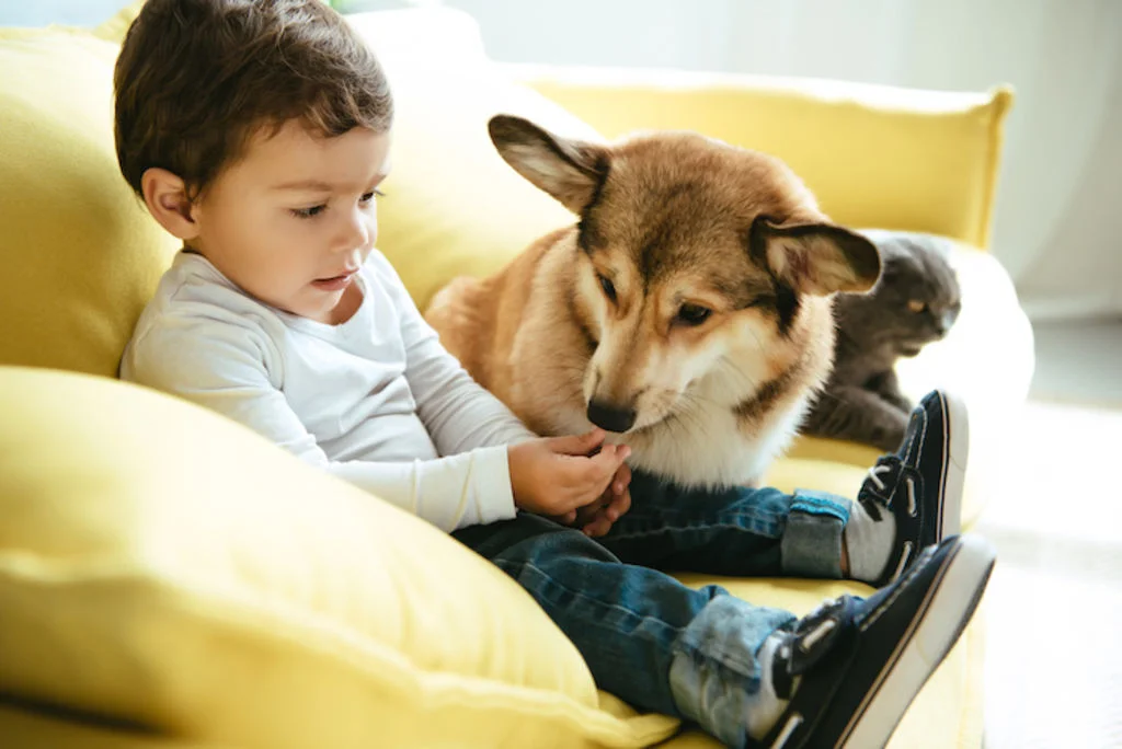 chien_et_enfant_hygiene