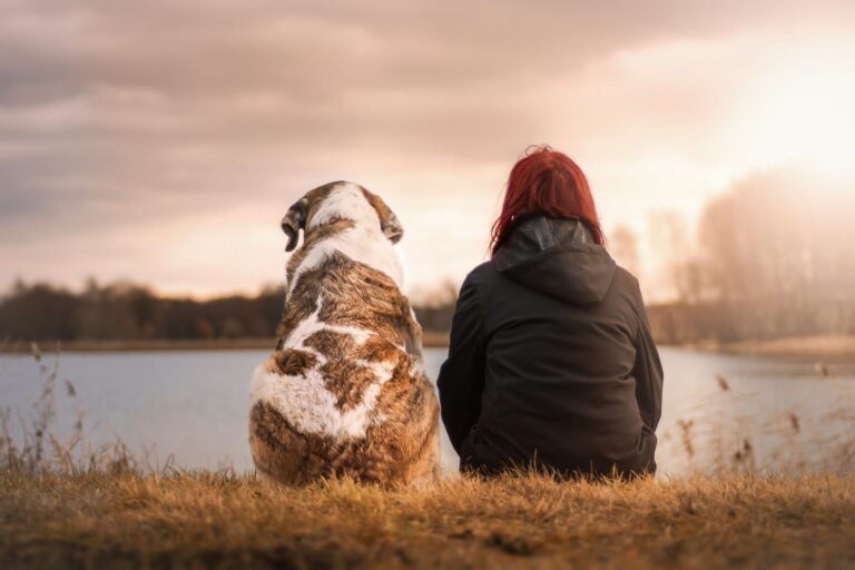 Quelle race de chien est faite pour moi ?