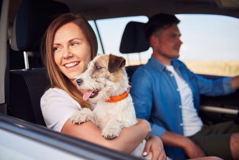 Comment bien voyager avec votre animal de compagnie ?