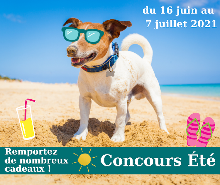 Concours été SantéVet : de superbes lots à gagner