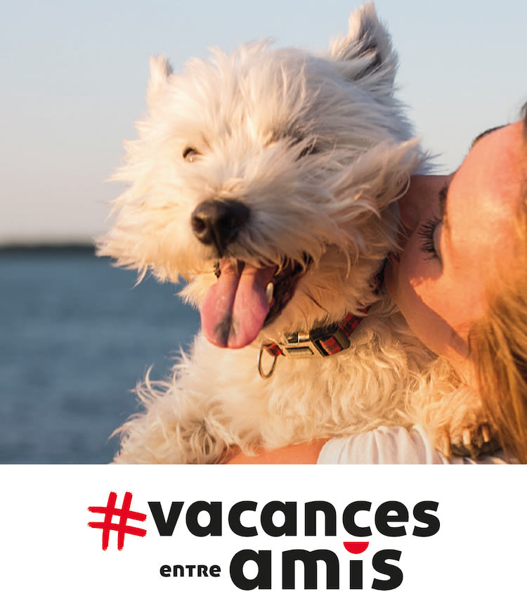 Où partir en France cet été 2021 avec votre chien ou chat?