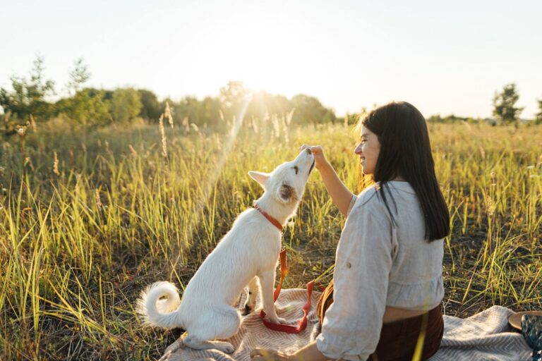 Comment gérer l’alimentation de mon animal en vacances ?