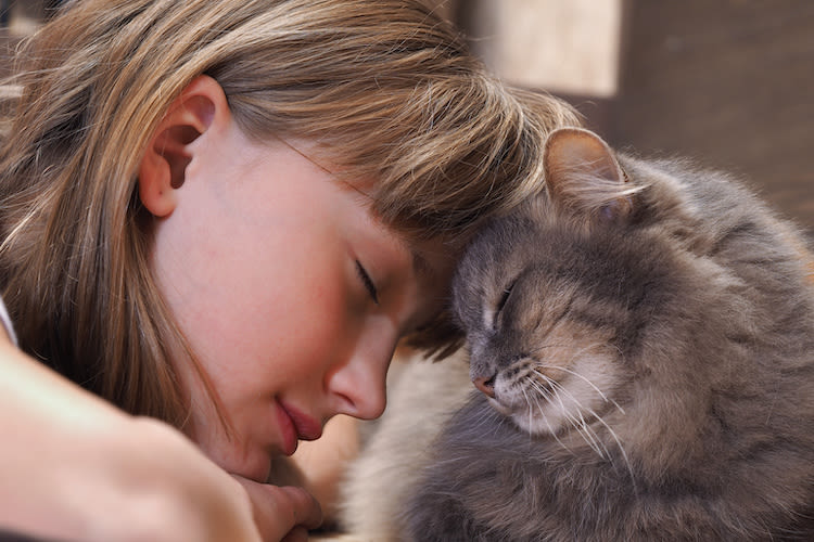 Tout savoir sur le ronronnement du chat et ses bienfaits