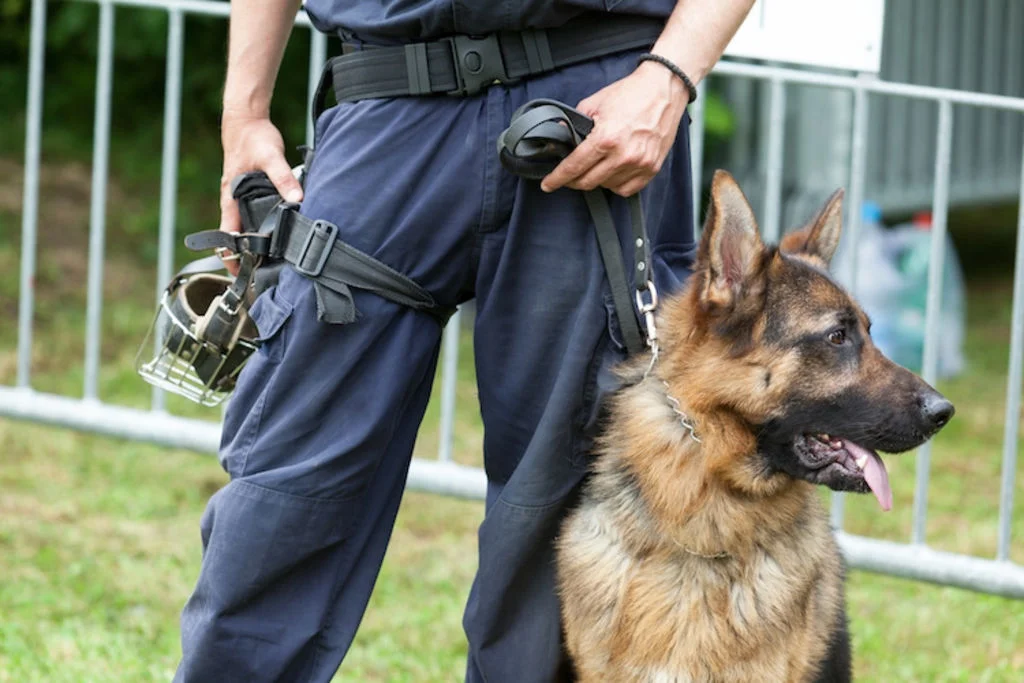 chien-de_gendarmerie